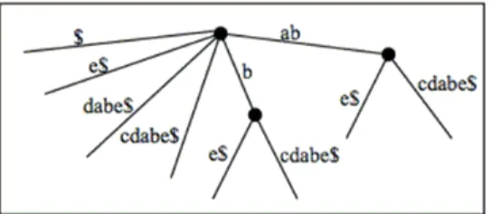 Figure 6: “abcdabe$”’s Suﬃx Tree (Tairas et al. [56])