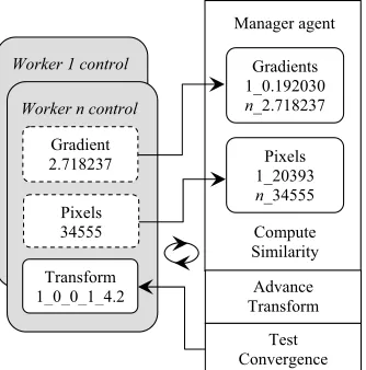 Fig 6 The Manager agent collects gradient and pixel data, which it uses to  compute similarity, update transform parameters, and test if convergence of the registration process has been reached