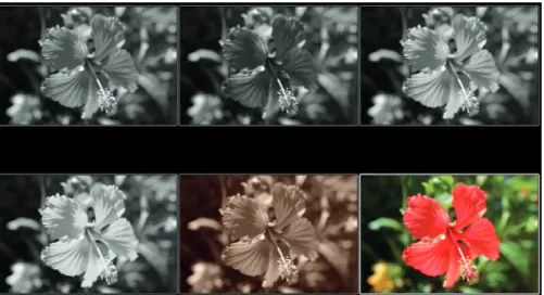 Fig. 46:  Comparing B&amp;W options: From left to right, first row: un- un-filtered B&amp;W, green filter, and yellow filter 