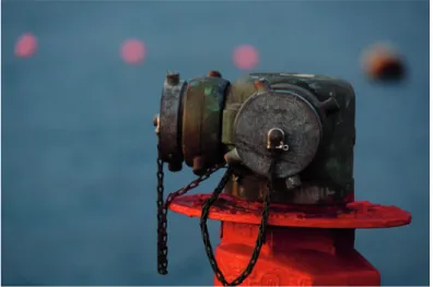 Fig. 12:  The  optical image stabilizer of the XF18–135mm in  action: Thanks to a slow shutter speed of 1/10s, I could still use  ISO 200 minutes before nightfall 