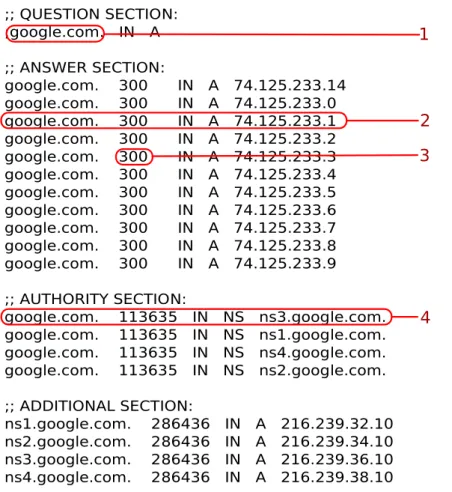 Figure 2.3: Output for the DNS Resolution Process Using the dig Command