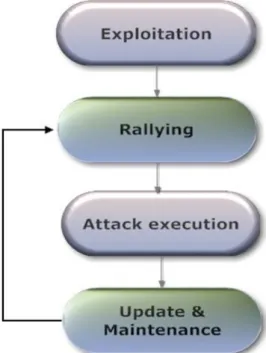 Figure 2.1: Botnet Life Cycle 