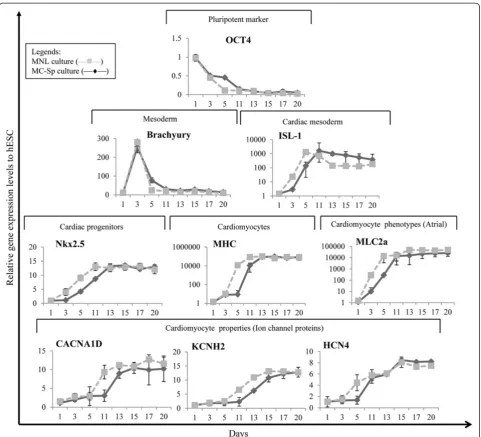 Figure 4 Temporal gene expression pattern during cardiomyocyte differentiation in monolayer cultures and MC-Sp.polymerase chain reaction data for various hallmark markers of cardiomyocyte differentiation (at days 1, 3, 5, 11, 13, 15, 17, and 20): squares, 