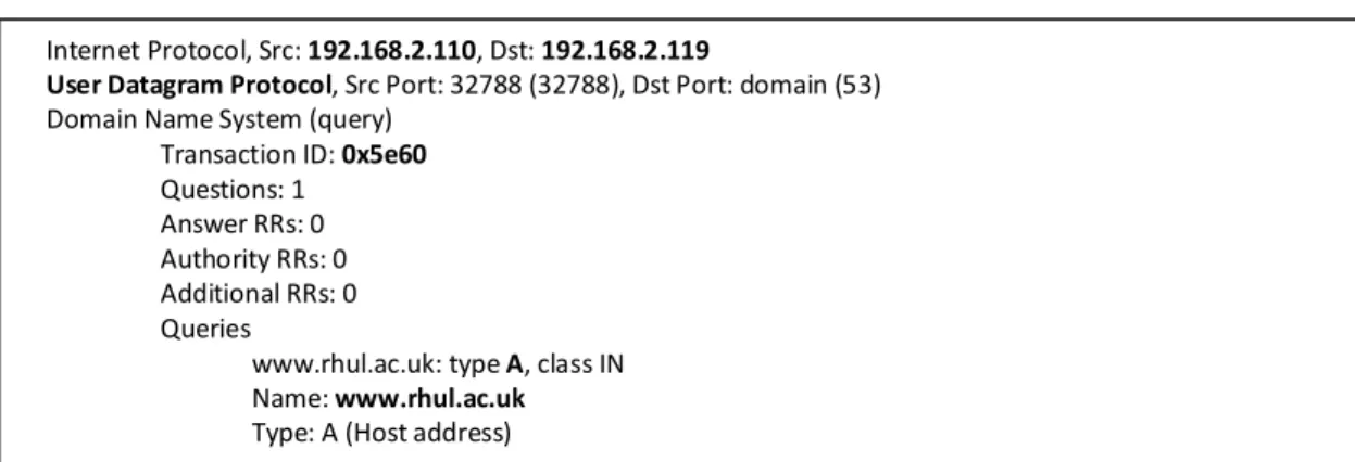 Figure 4 – DNS query 