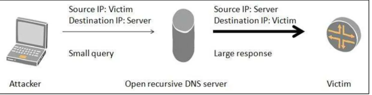 Figure 12 – Basic amplification attack 