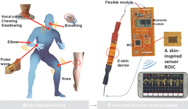 Fig.  14  present  A  skin-inspired  sensor  interface  system  whose  three  stage  are  implemented  by  utilizing  polyvinylidene  fluoride  and  reduced  graphene  oxide  (PVDF/RGO)  composite  structures  as  electrical skin devices with three electri