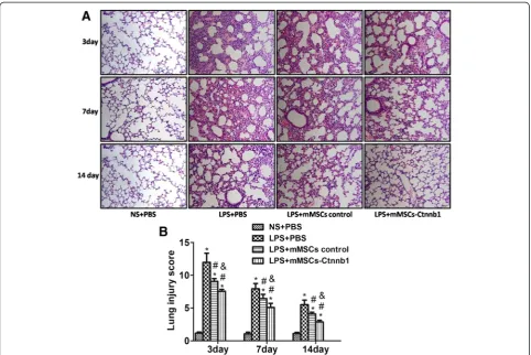Figure 2 Effect of control mouse mesenchymal stem cells (mMSCs) or(LPS)-induced lung injury and survival over 14 days
