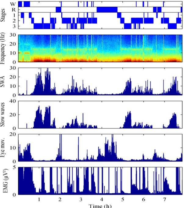 Figure  1.3.  This  figure  shows  the  recording  of  a  night  of  sleep  and  extracted  quantitative  parameters  (features)