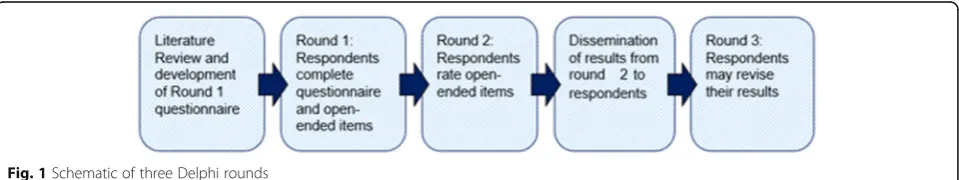 Fig. 1 Schematic of three Delphi rounds