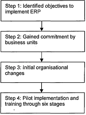 Figure 2.2 Main steps to implement ERP in M ANCO (Jessup and Valacich, 2006)