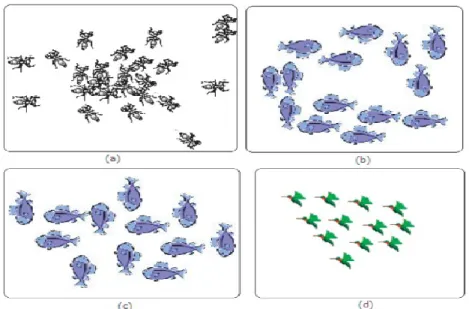 Figure 1.1 - Biological Swarm Behavior Examples. [2] 