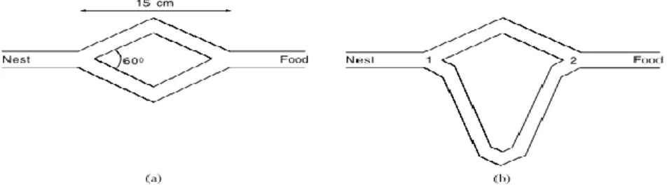Figure 2.1 - Experimental Setup for the Double Bridge Experiment. [6] 