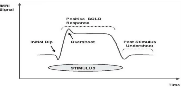 Figure 2.9: BOLD signal shows initial dip and then a more prolonged positive signal [7]