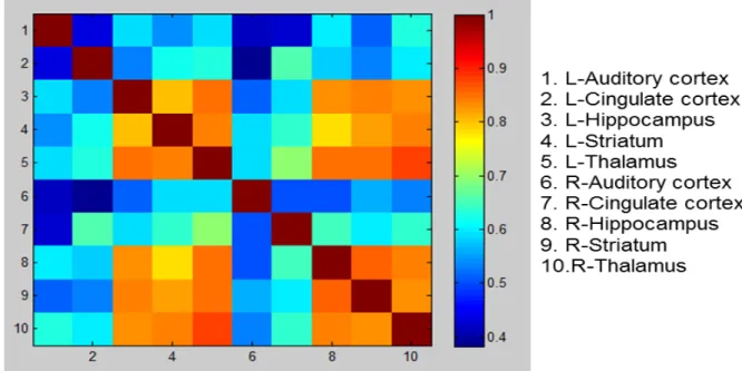 Figure 4.10: ROI correlation matrix of fMRI standalone scanning in resting state, 26/11/2015, Rat 2