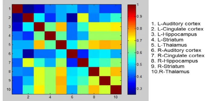 Figure 4.11: ROI correlation matrix of simultaneous EEG-fMRI measurement in resting state, 27/11/2015, Rat 2