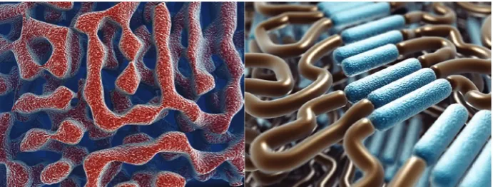 Figure 4. still images from Nanotechnology – Shock Revelation public understanding of science video