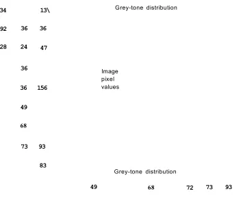 Figure 4.5 - Gray-tone distribution feature representation