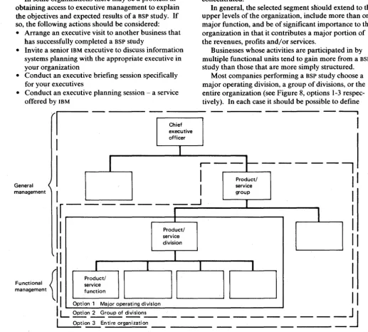 Figure 8. BSP organizational business unit options 