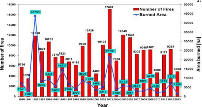 Figure 42. Total number of fires on high forest and area burned in Poland in the period 1990-2013 