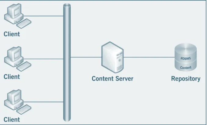 Figure 4.1.1: Example of a Single Server, Single Repository Environment  (Source: EMC Documentum)