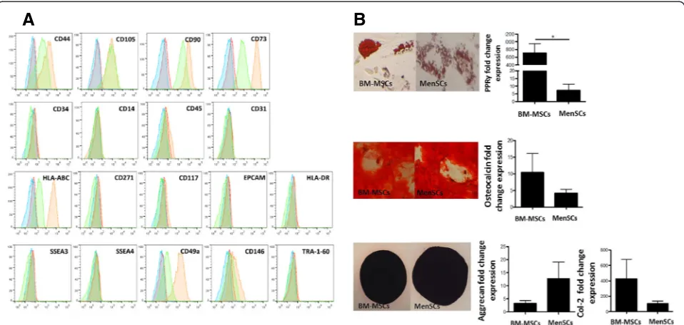Figure 1 MenSCs show high expression level of mesodermal antigens and multilineage capacities