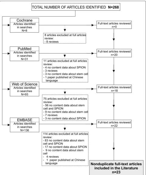 Figure 2 Flowchart of the article screening process for inclusion in this review. SPION, superparamagnetic iron oxide nanoparticle.
