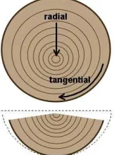 Figure 1: Timber shrinkage.