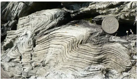 Figure 1.2: Bifurcation in compression of a ﬁnely layered metamorphic rockhas induced severe folding, an example of a ‘accomodation structure’ (Treard-dur Bay, Holyhead, N