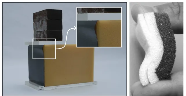 Figure 1.3: Bifurcation in compression with detachment of layers: a stiﬀ (1mm thick) plastic coating is detached from a foam substrate to which it wasinitially glued (left), three layers of foam fold with detachment, clearly visiblenear the edges of the sample (right).