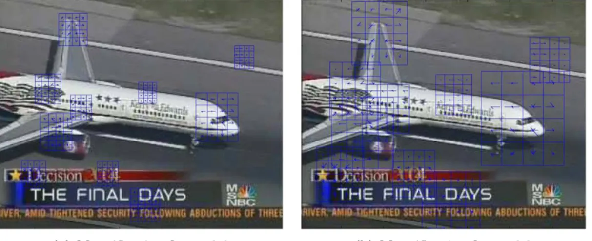 Figure 3.2: Visualization of SIFT descriptors from scale-invariant keypoints with different magnification factors.