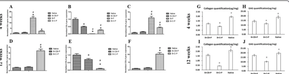 Figure 5 Chondrogenesis-related gene expression and quantifications of glycosaminoglycan and collagen