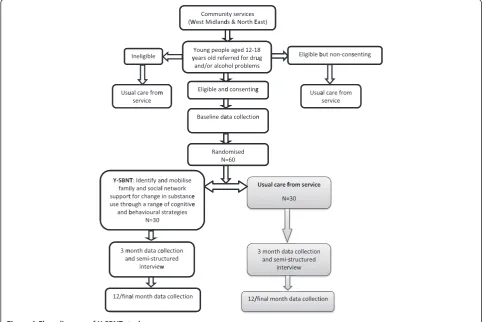 Figure 1 Flow diagram of Y-SBNT study.