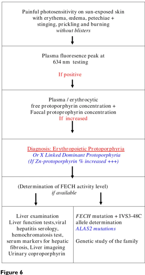 Figure 6EPP diagnosisEPP diagnosis.