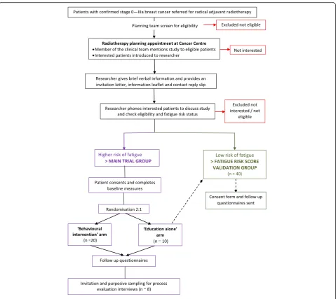 Fig. 1 Study schema