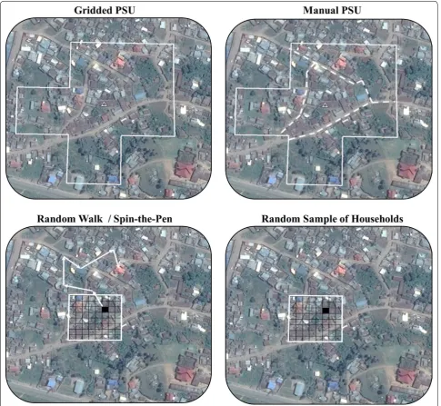 Fig. 6 Schematic of four field implementation options for gridded population sampling