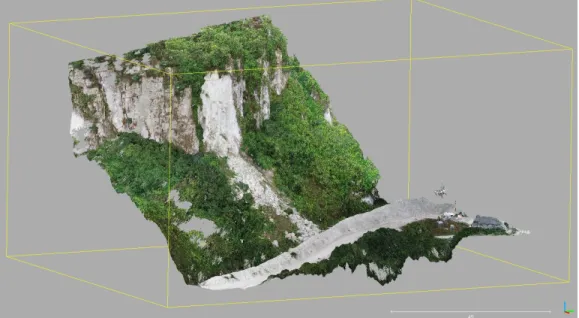Figure 4. Coloured Structure from Motion Multi-View Stereo (SfM-MVS) point cloud image, acquired  using a Phantom 4 DJI platform equipped with a 20 MP RGB camera and processed in Agisoft  Photoscan™