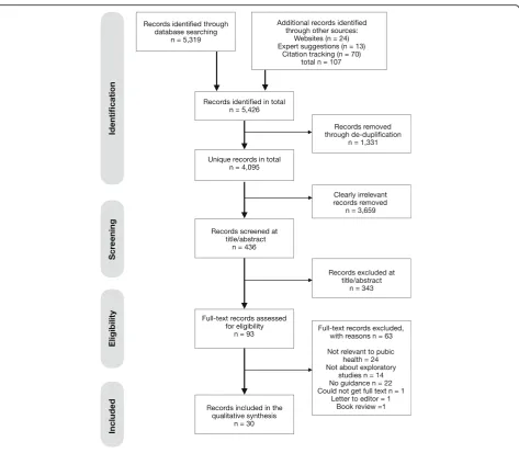 Fig. 1 Flow diagram