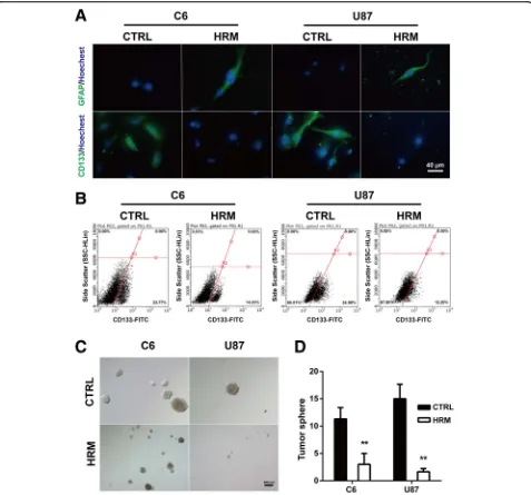Fig. 3 Hydrogen treatment attenuated the stemness of glioma cells. The expression levels of GFAP and CD133 in glioma cells were assessed withhydrogen treatment (representative images were captured (immunofluorescence staining after hydrogen treatment (a)