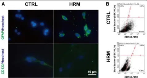 Fig. 4 Hydrogen treatment induced the differentiation of C6 sub-spheres. The expression levels of GFAP and CD133 in C6 sub-spheres wereanalysis after hydrogen treatment (assessed with immunofluorescence staining after hydrogen treatment (a)
