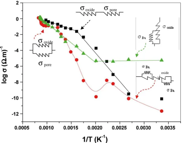 Fig. 3. Dependence of conductivity on temperature for the oxide cathodes (Ni 2.5%) assembled in a vacuum chamber and activated for (1125 K), (� 1425 K)and (1200 K)