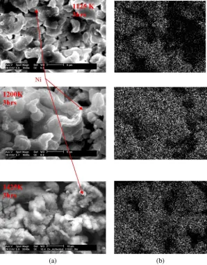 Fig. 6. Al activator element EDX analysis distributed on the Ni cap surface through period of time and activation in a vacuum chamber test