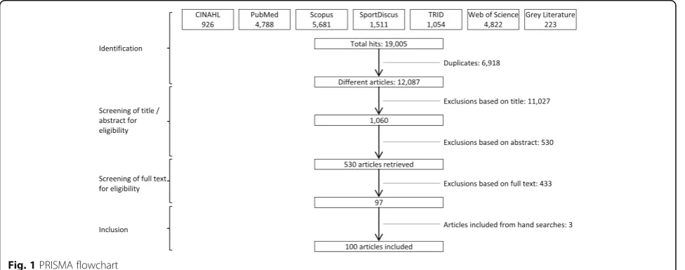 Fig. 1 PRISMA flowchart