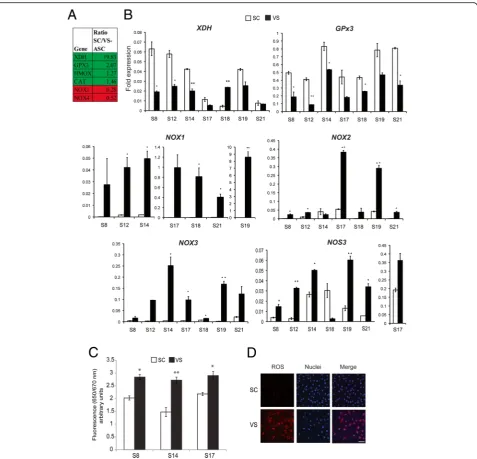 Fig. 1 VS-ASCs have increased ROS when compared to SC-ASCs. a Table showing fold expression of genes differentially expressed in SC- vs