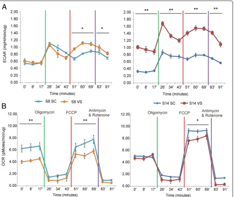 Fig. 2 ASCs exhibit depot-specific differences in mitochondrial respiration and glycolysis