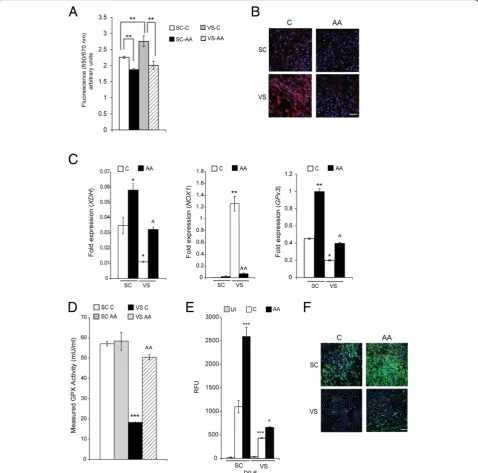 Fig. 3 Ascorbic acid treatment improves ROS and adipogenic capacity of VS-ASCs.showing relative AdipoRed staining levels of lipid droplets each in triplicates in S17 SC- and VS-ASCs that were treated with and without AA forthe first 6 days (D0^without AA t