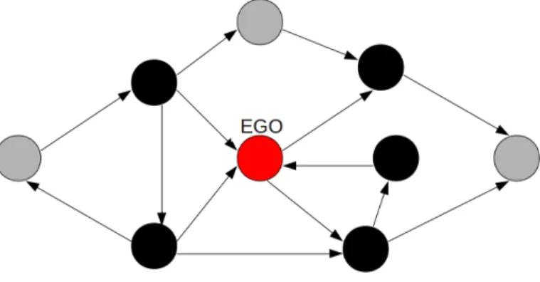 Figure 2.1: Ego Network