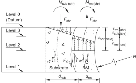 Fig. 1. Idealised forces due to distribution of shrinkage strain