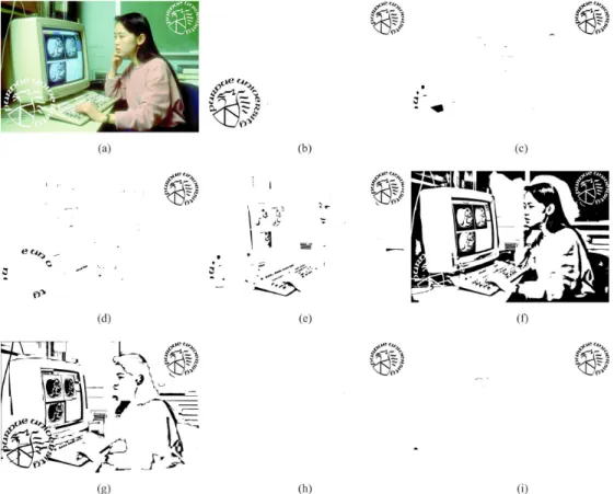 Fig. 12. Picture regions in the binary mask. Picture region is 1516 2 1003 pixels at 400 dpi, which corresponds to 9.63 cm 2 6.35 cm