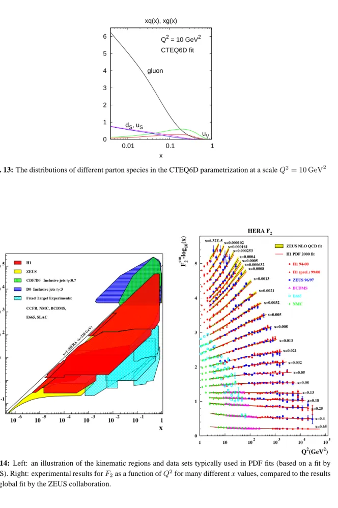 Fig. 13: The distributions of different parton species in the CTEQ6D parametrization at a scale Q 2 = 10 GeV 2