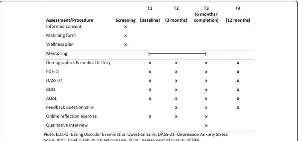Fig. 1 Study procedures, mentee and mentors
